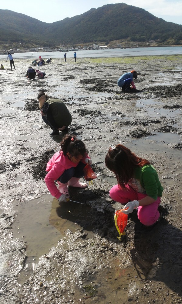 92d567b90ac2fd039d0e512596b75d04_1445925