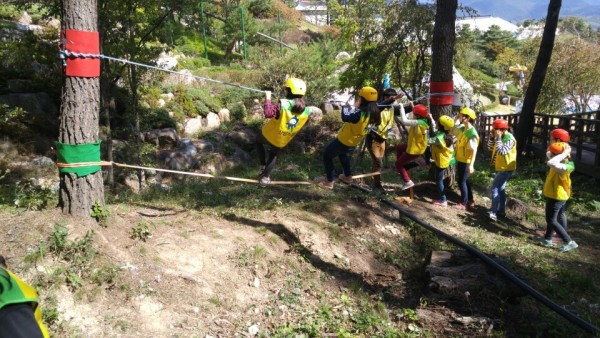 d3c8bce8f0413e7bfd5c9d176bb163f7_1445308