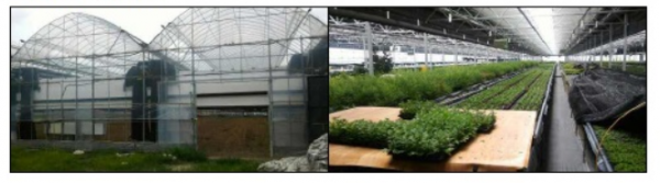 82eb60c6df261f588e812ae6d5d12ad9_1447480