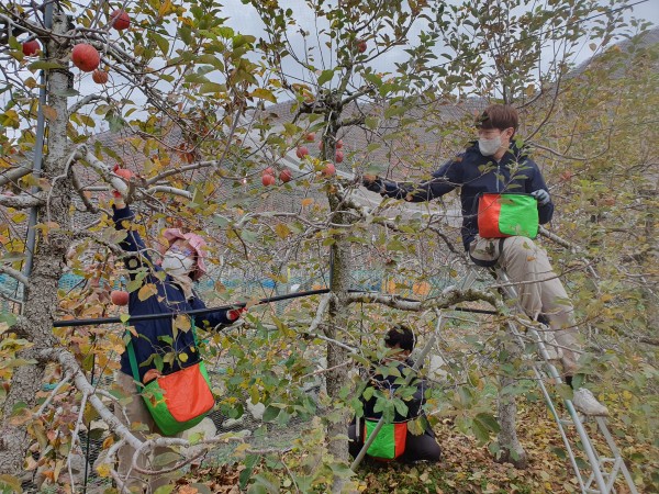 b27d59531adae424470731fb22086294_1668511