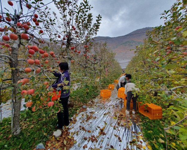 b27d59531adae424470731fb22086294_1668511