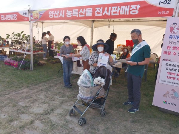 dc5e8e977a8a2a38b28def0d85f114eb_1668046