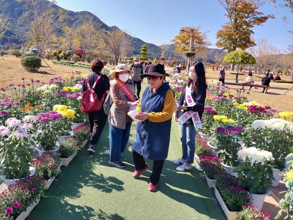 dc5e8e977a8a2a38b28def0d85f114eb_1668046