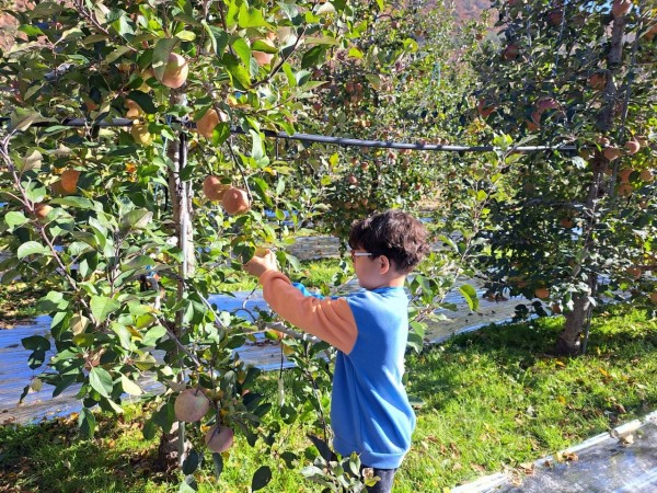 e18a5fa214561c8461824f876a17324b_1667892