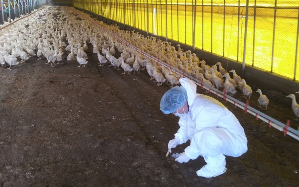 16d76fdf57391bfcaa5e3656c9dee8ab_1670489