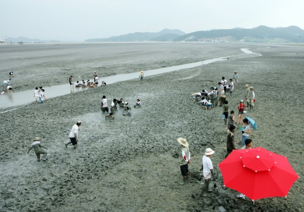 70a2c84b61227f5b969c7bd3e3494cbe_1672038