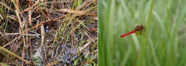 716bae21f8cf8807c2a5a04c98ac45df_1672305