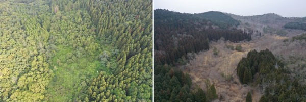 716bae21f8cf8807c2a5a04c98ac45df_1672306