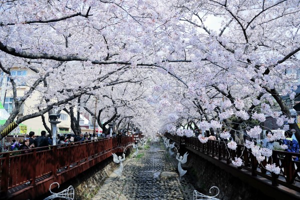 a1e8d3613b3865a8d4f8c4ad5ee05da3_1670997