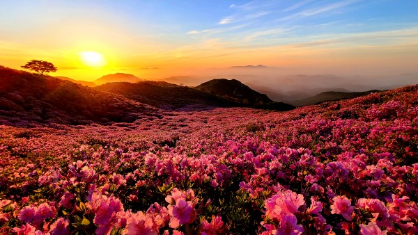 a1e8d3613b3865a8d4f8c4ad5ee05da3_1670998