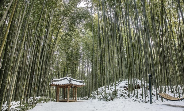 a1e8d3613b3865a8d4f8c4ad5ee05da3_1671011