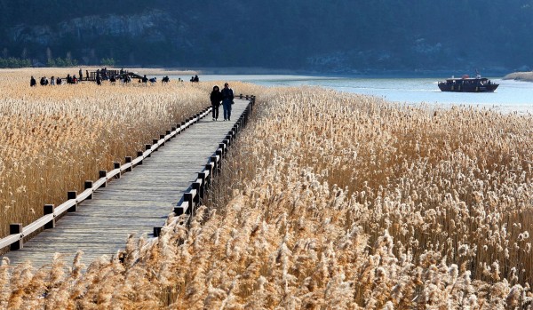 a1e8d3613b3865a8d4f8c4ad5ee05da3_1671011