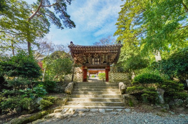 c9cdd024d5e5e690abb8765dbf535c6b_1672282