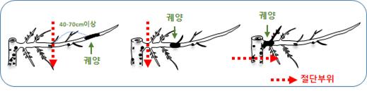 0413c0cca6beeb87624500b396cd843b_1672715665_6791.jpg 0413c0cca6beeb87624500b396cd843b_1672715