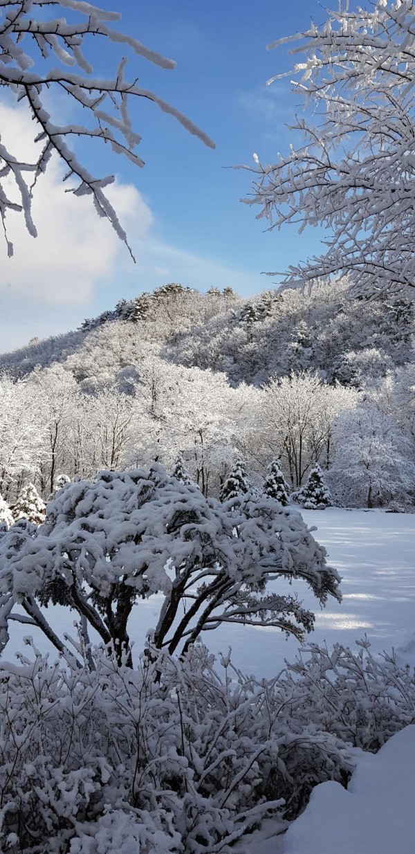 0413c0cca6beeb87624500b396cd843b_1672714