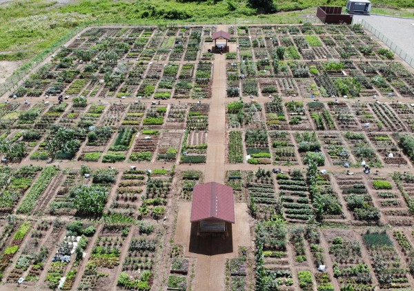 4f1c24a35bcf1790376b82ad9678e90e_1674647