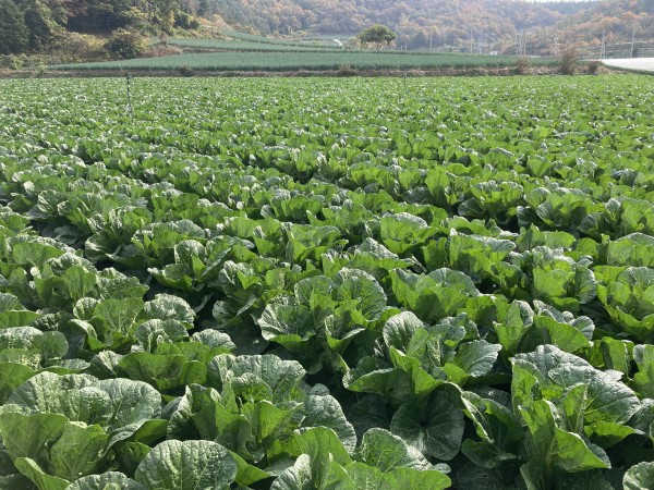 79a79707480bafe3e7f2d5d0a9350821_1673317