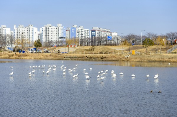 79a79707480bafe3e7f2d5d0a9350821_1673318