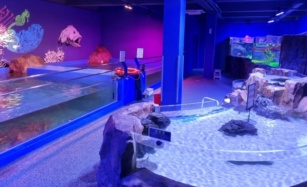 a03494e5b38fa483e6144e06ade4d909_1674004