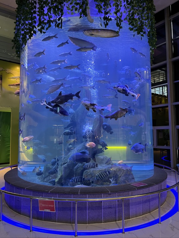 a03494e5b38fa483e6144e06ade4d909_1674004