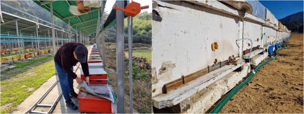 ee7b255df36847e3c47b223f76ff89f7_1674128