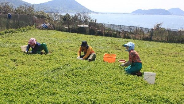 705f11c6ef11a4ac3e990f08af24828d_1675740