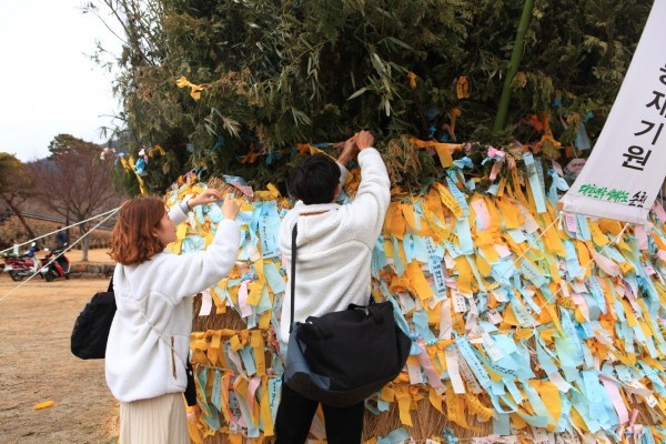 836a86679f44cfd06a3425c5f2d71c73_1675245